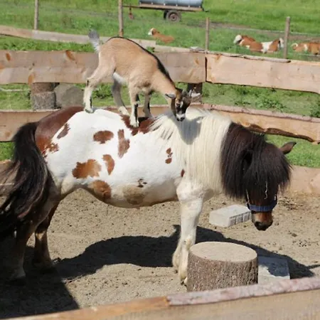 Wolfeicherhof * Eggstätt