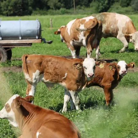 Wolfeicherhof Apartman *