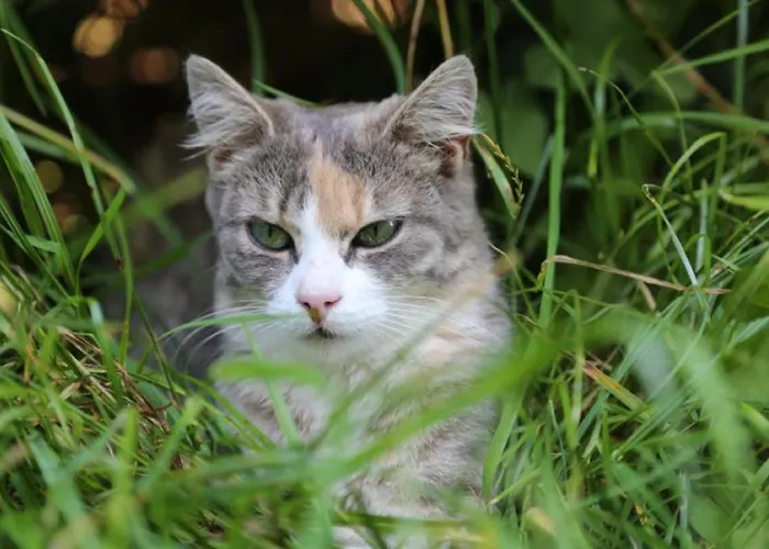 Wolfeicherhof Lejlighed Eggstätt