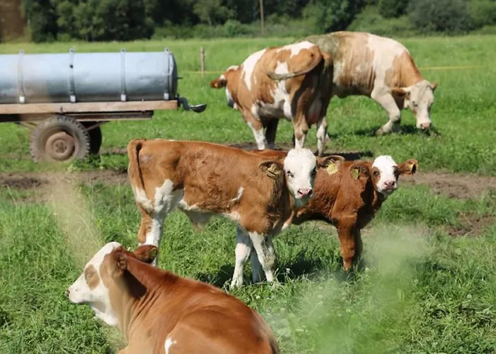 Wolfeicherhof Lejlighed *